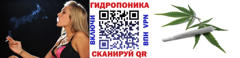 наркошоп  Среднеуральск  Каннабис ГИДРОПОН 